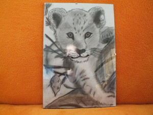 tygří mládě - dárek pro manžílka k 30. narozeninám